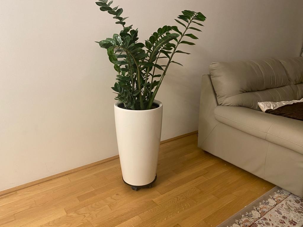 Hochglanz ein Traum für die Terrasse