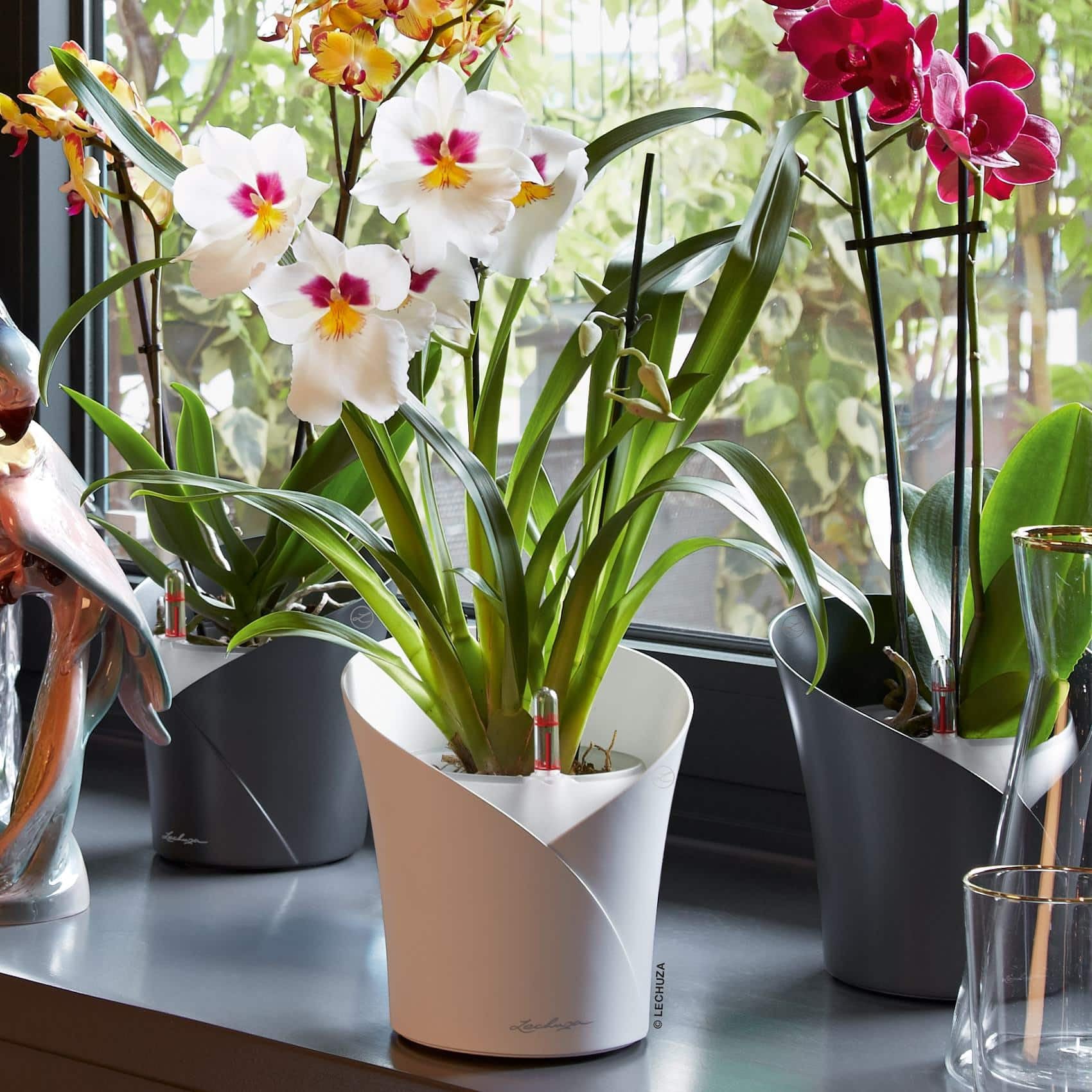 lechuza-orchidea-color-pflanzgef-mit-bew-sserungssystem-18-x-20-cm-wei image 7