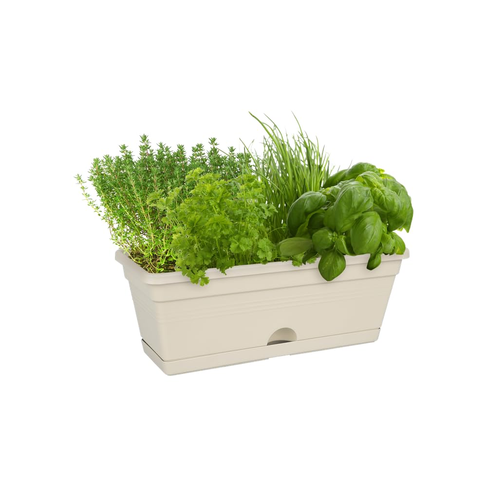 elho-green-basics-balkonkasten-mini-30-bertopf-baumwolle-29-6-cm image 8