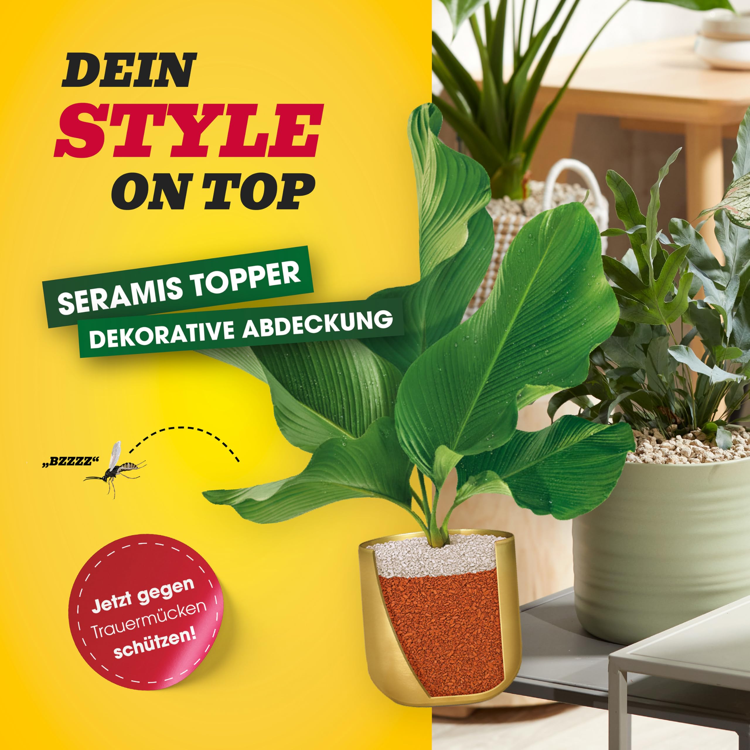 seramis-pflanzgranulat-topper-limestone-100-bims-1-l image 3
