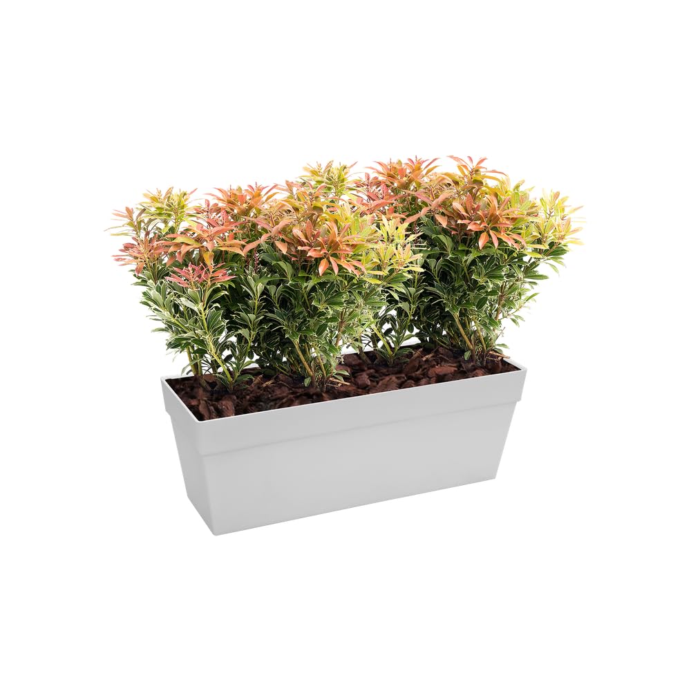 elho-loft-urban-balkonkasten-50-cm-weiss image 8