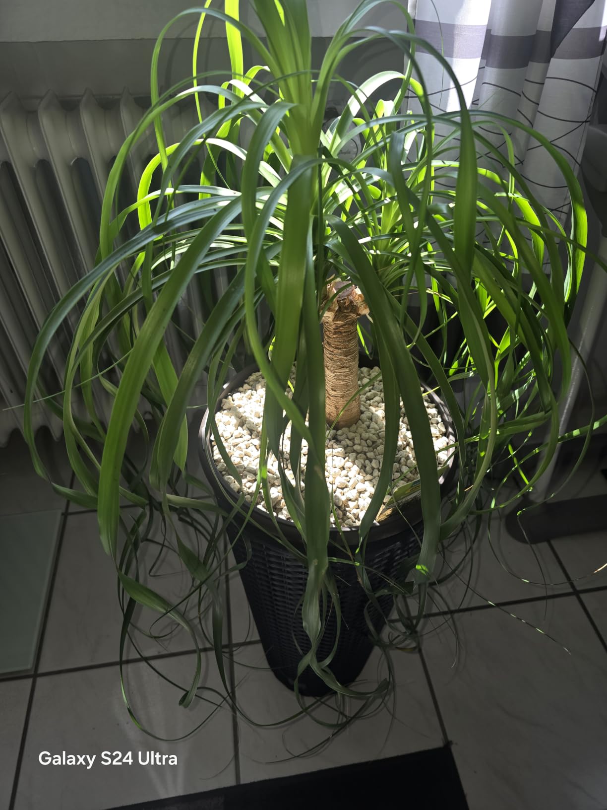 Sieht edel aus