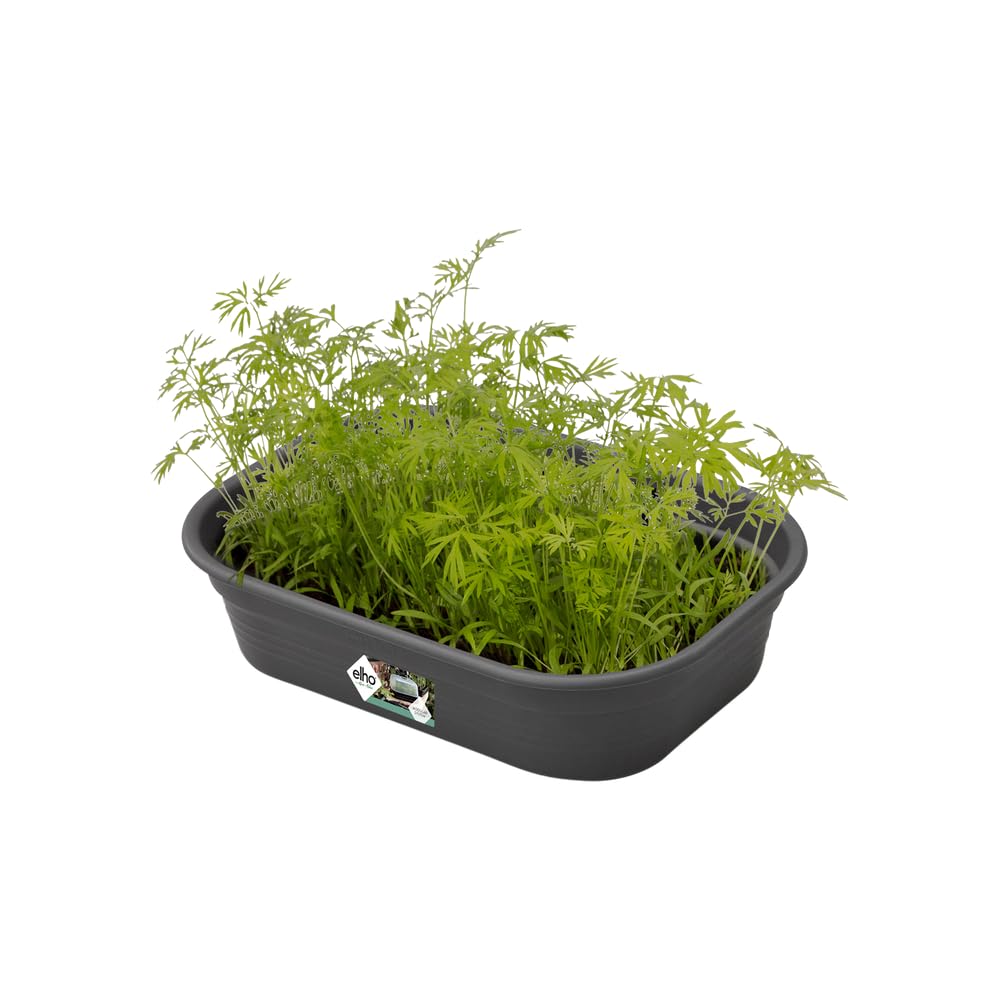 elho-green-basics-anzucht-schale-s-anzuchtschale-17-x-24-x-6-cm-in-living-schwar image 3