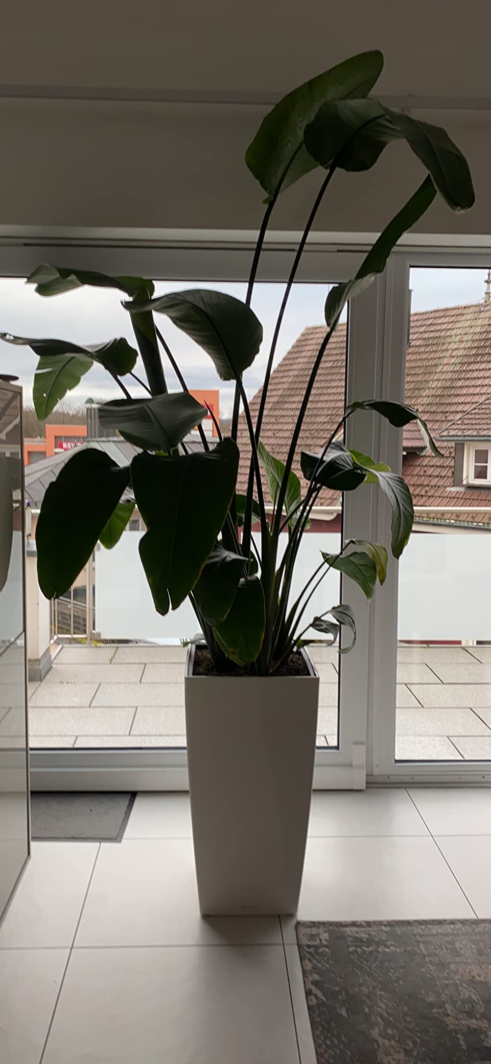 Edel und praktisch