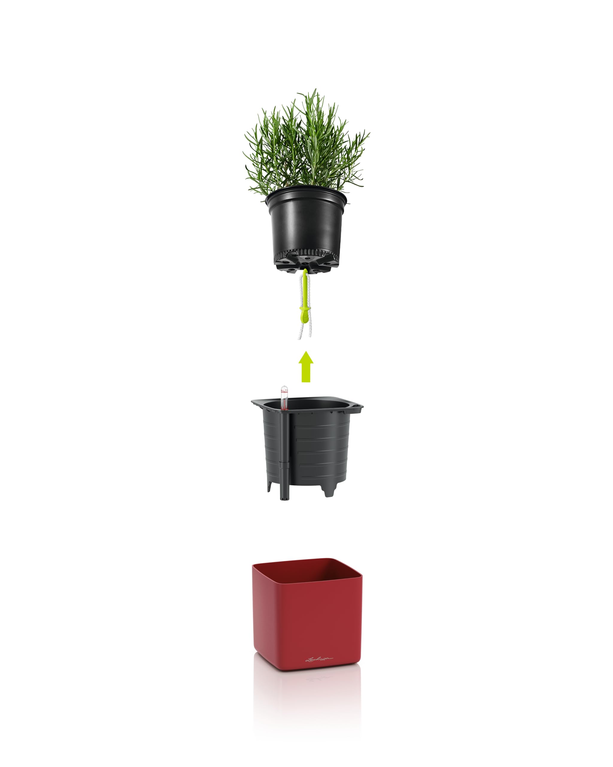 lechuza-cube-premium-green-wall-home-kit-anthrazit-hochglanz-3x-cube-14-mit-magn image 5