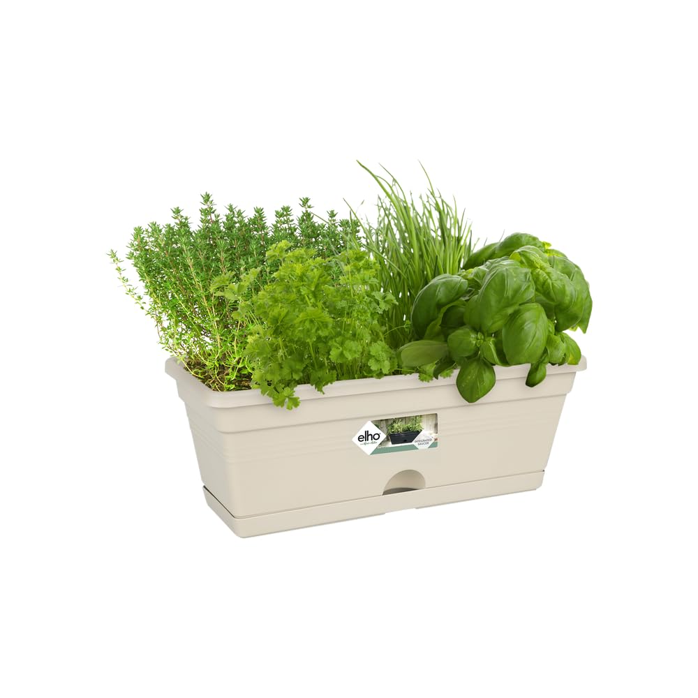 elho-green-basics-balkonkasten-mini-30-bertopf-baumwolle-29-6-cm image 3
