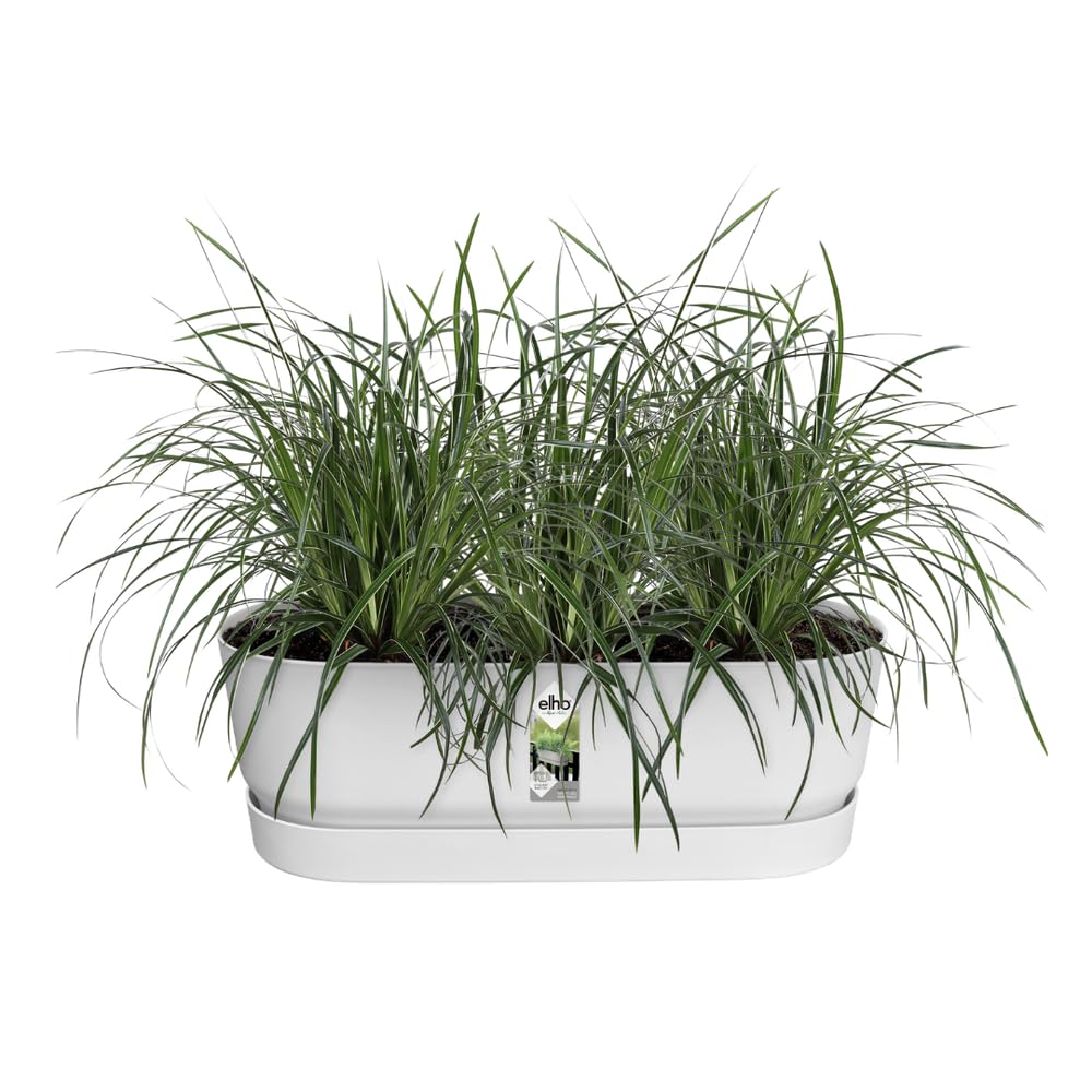 elho-greenville-easy-balcony-52-cm-balkonkasten-wei image 3