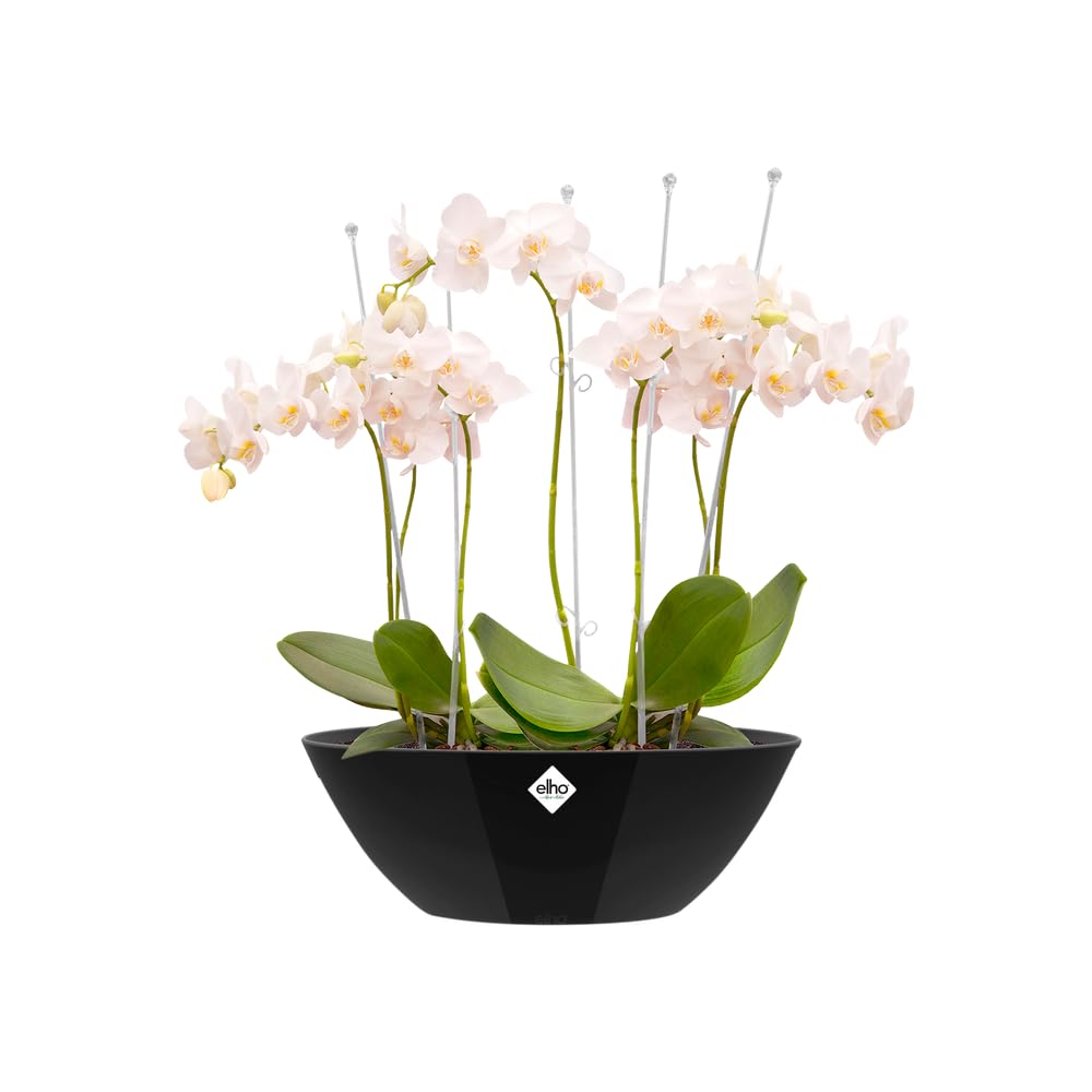 elho-brussels-diamond-oval-20-blumentopf-metallic-schwarz-20-3-cm image 3