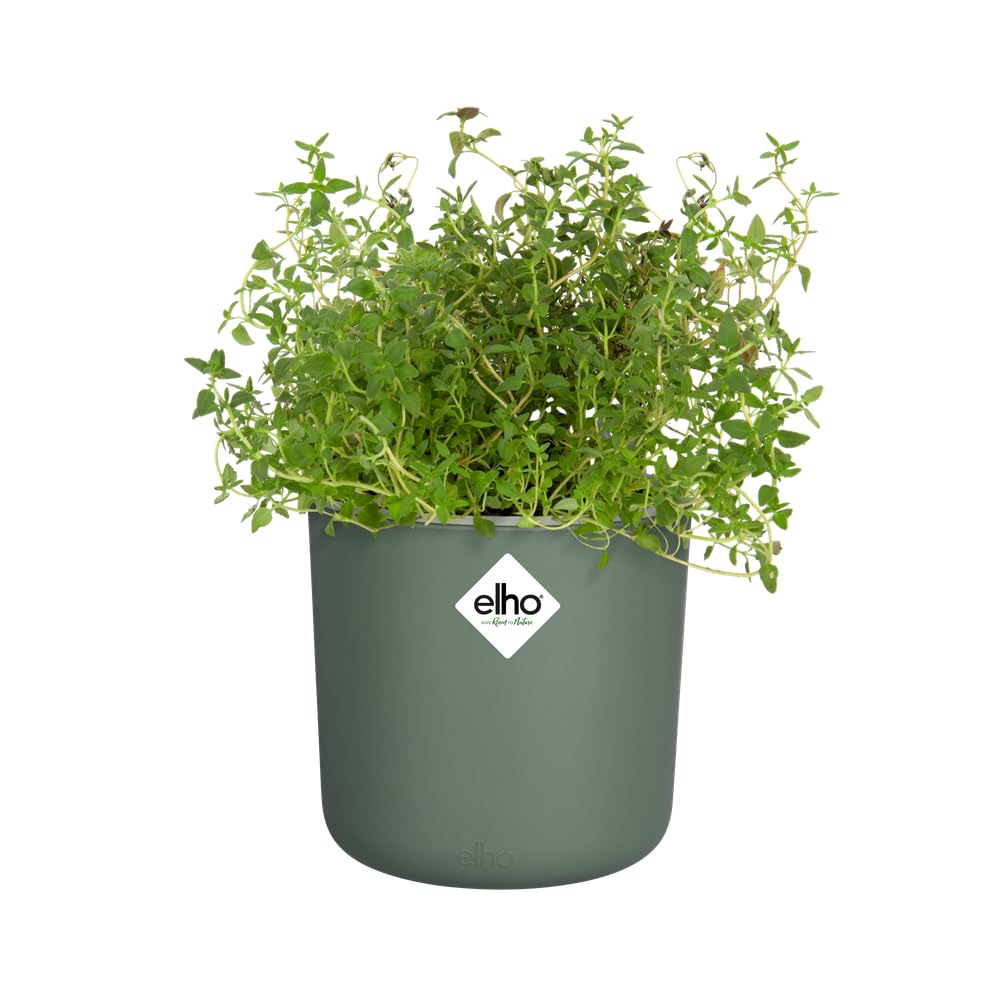 elho-happy-herbs-14cm-kr-utertopf-mit-wasserspeicher-14-5-x-h-17-cm-leaf-green image 6