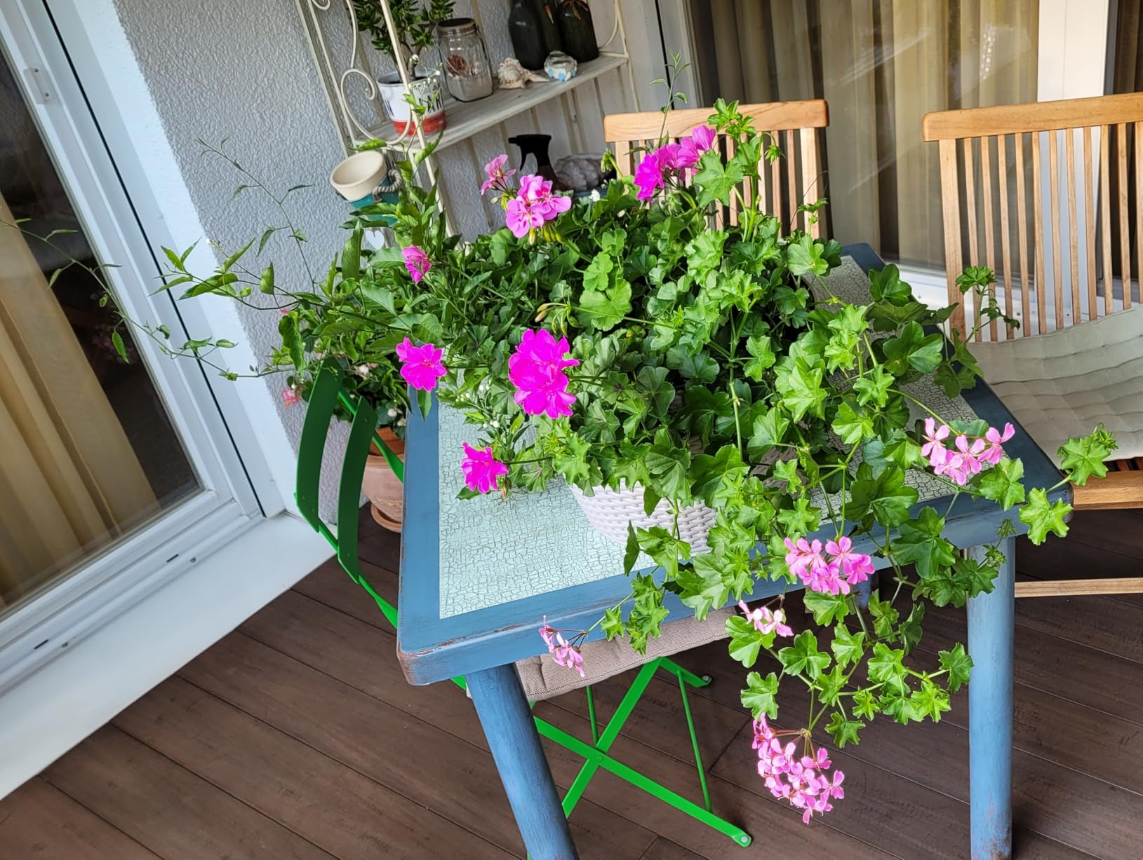 Urlaub ohne Gießstress