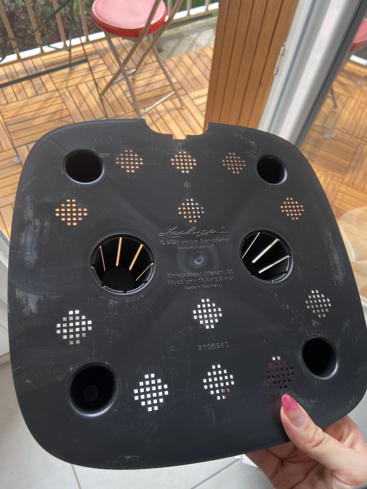 Knallige Farbe, glückliche Pflanzen