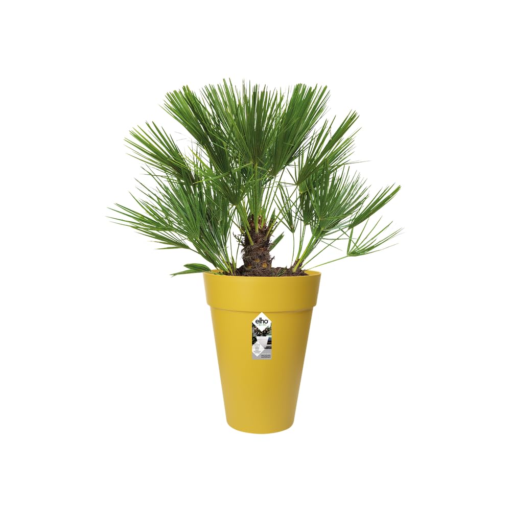 elho-loft-urban-rund-hoch-35-cm-blumentopf-ocker image 3