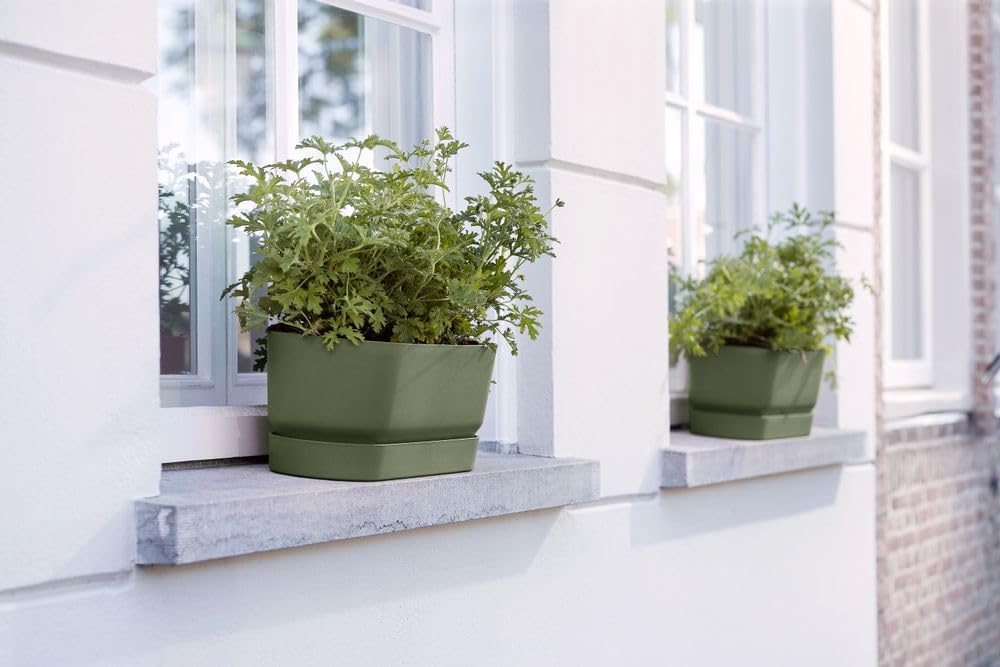 elho-greenville-pflanzgef-lang-50-cm-leaf-green-mit-untersetzer image 6