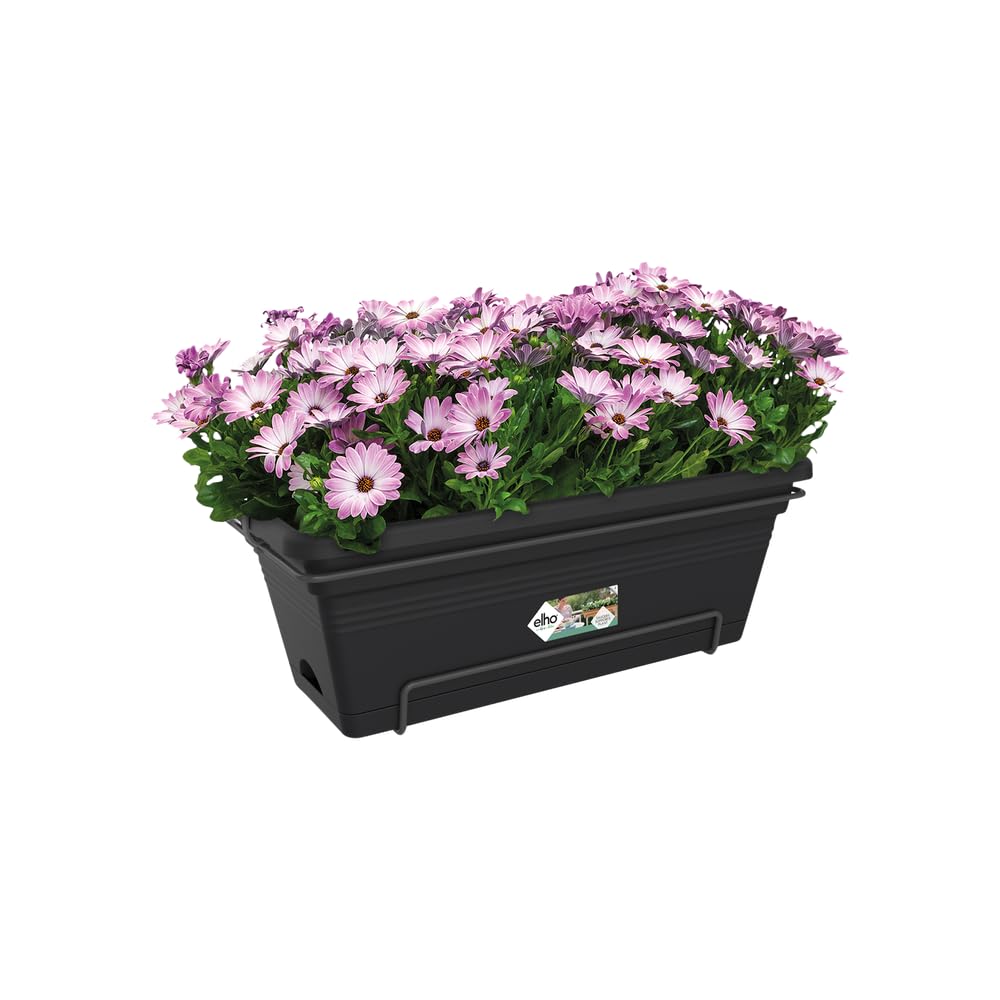 elho-green-basics-balkonkasten-xl-allin1-55-cm-living-schwarz-mit-integriertem-u image 3