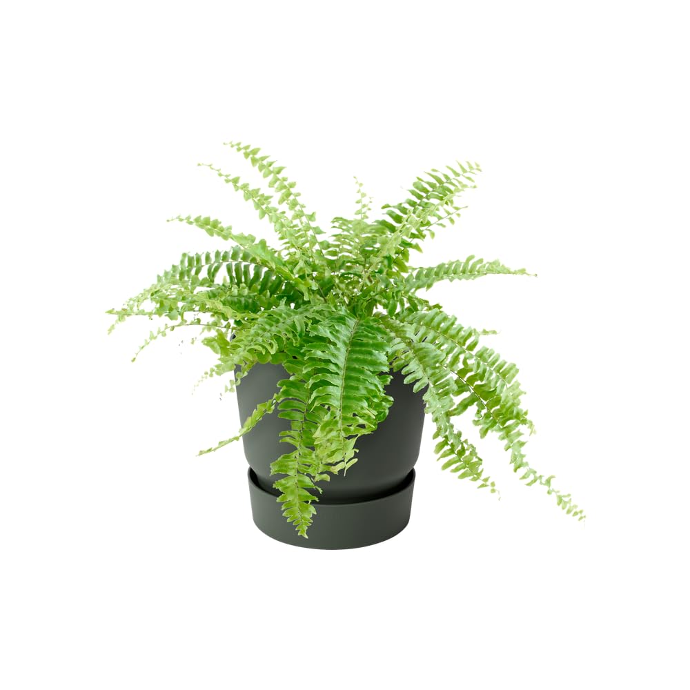 elho-greenville-easy-hanger-balkon-blumentopf-19-5-x-h-23-7-cm-laubgr-n image 3