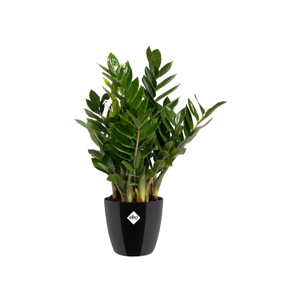 elho-brussels-diamond-rund-22-cm-blumentopf-schwarz-metallic image 3