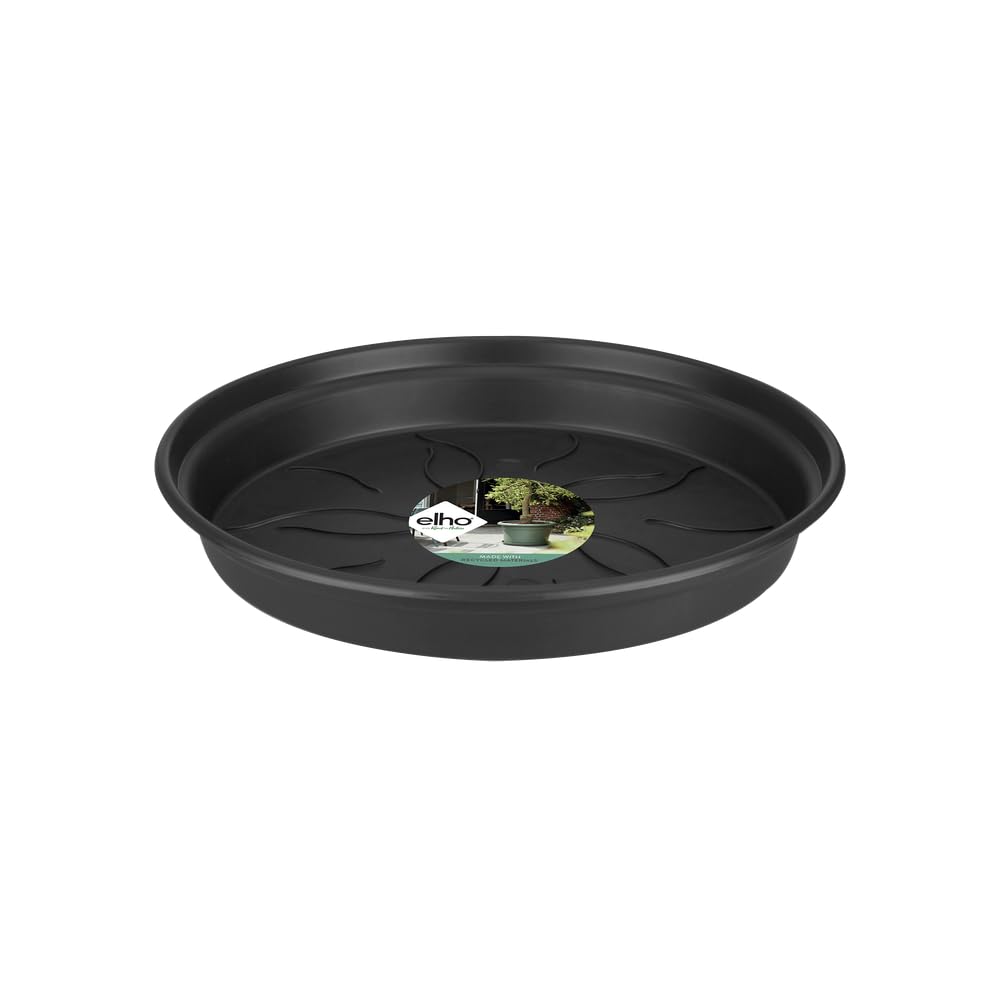 elho-green-basics-orchideen-untersetzer-10-cm-transparent image 8