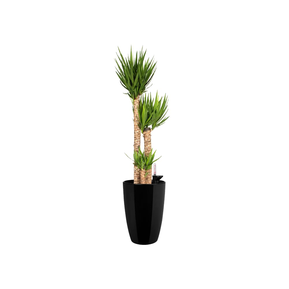 elho-brussels-diamond-rund-hoch-27-blumentopf-metallic-schwarz image 8