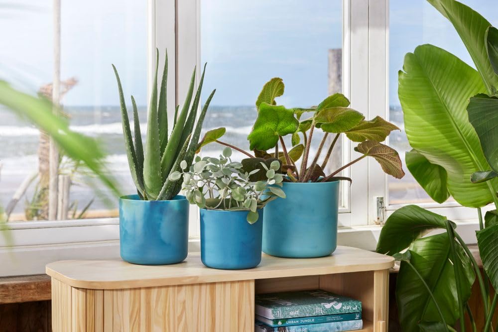 elho-the-ocean-collection-rund-22-cm-blumentopf-atlantikblau image 7