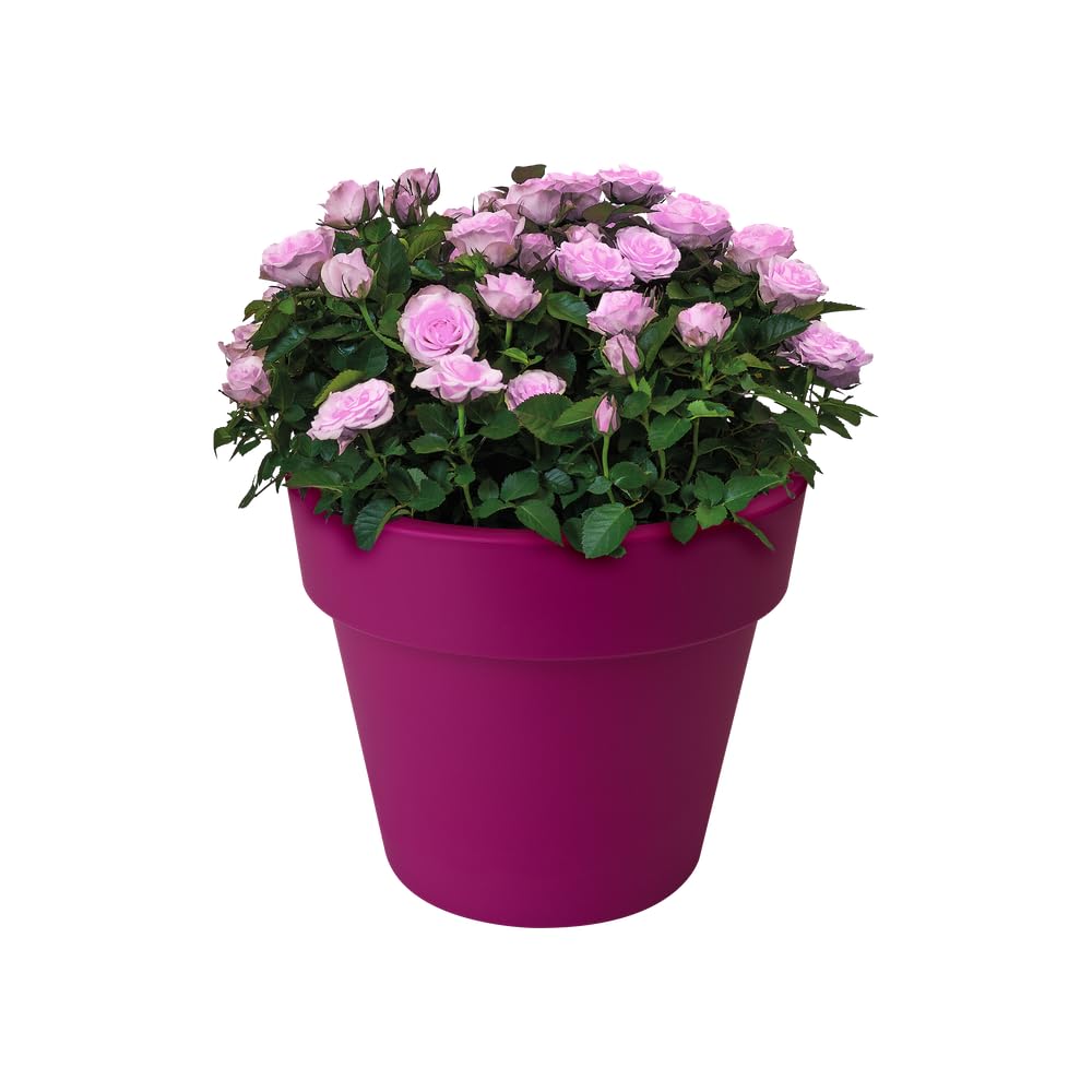 elho-green-basics-top-planter-23-blumentopf-kirsche-23-1-x-h-19-3-cm image 6