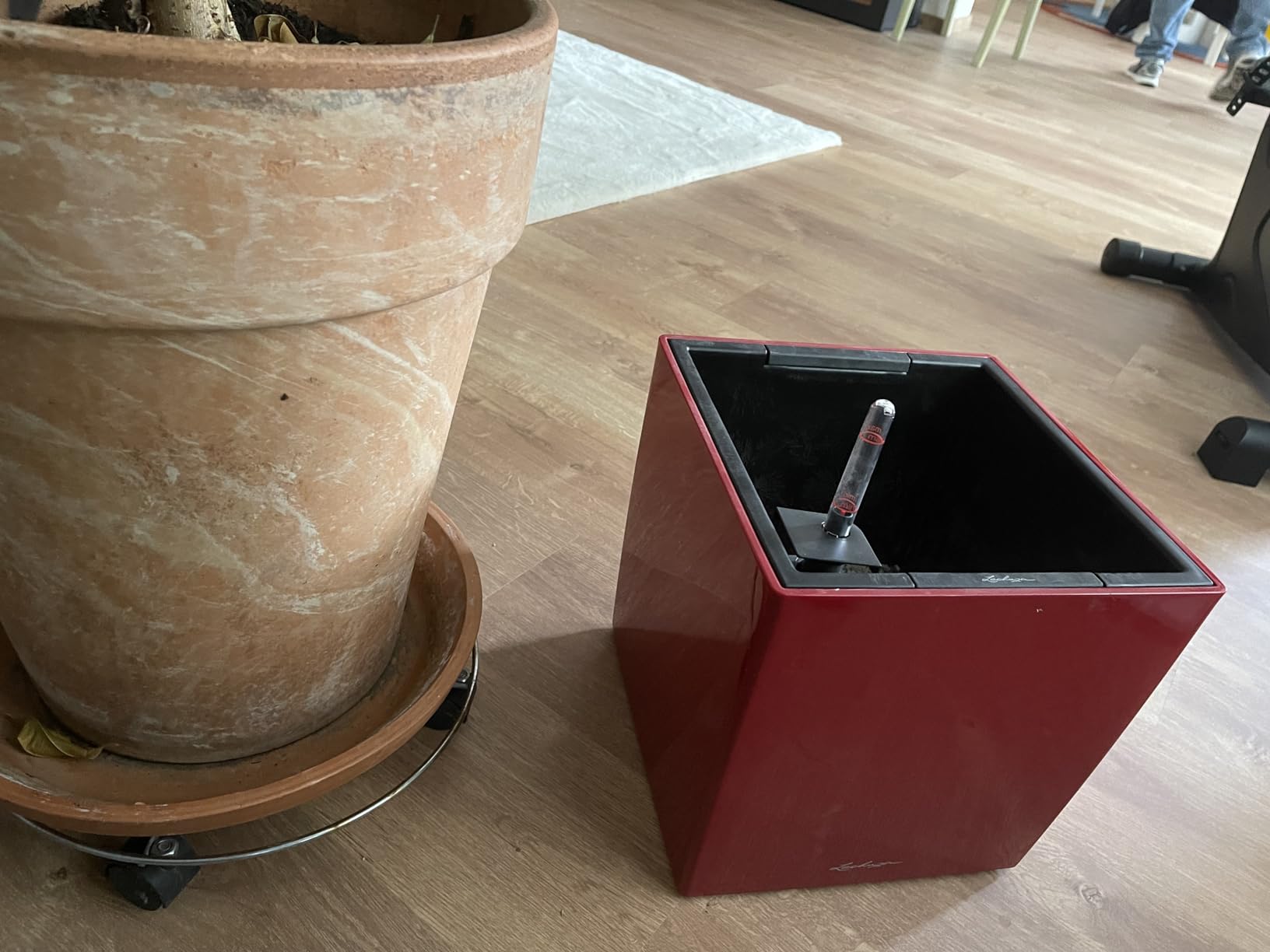 Nie wieder vertrocknete Pflanzen