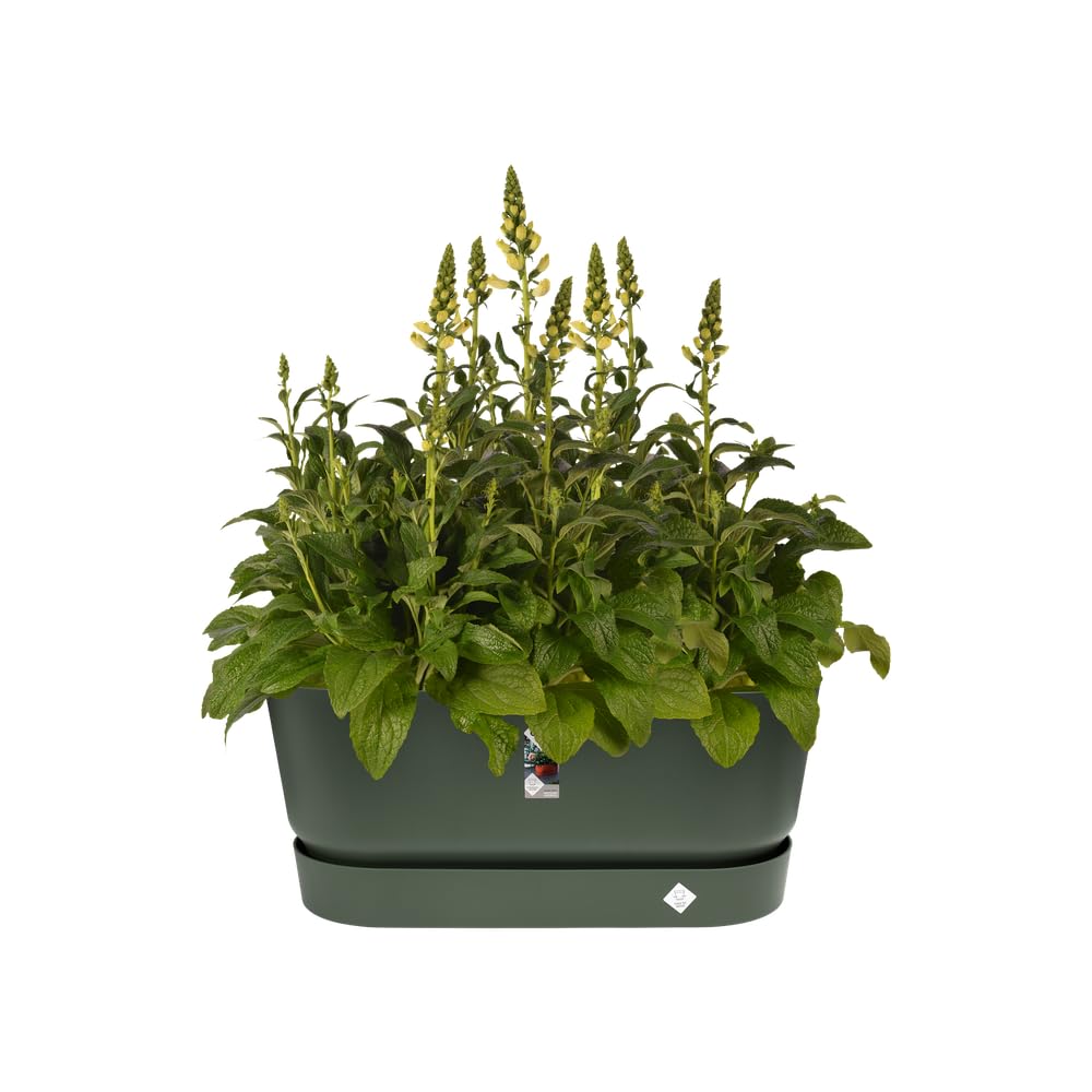 elho-greenville-pflanztrog-80-cm-mit-rollen-leaf-green image 3