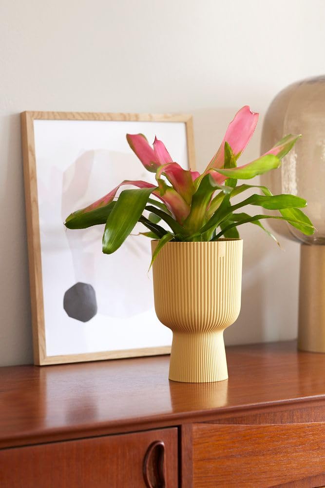 elho-vibes-fold-coupe-14-blumentopf-f-r-innen-13-9-x-h-21-cm-gelb-buttergelb image 8