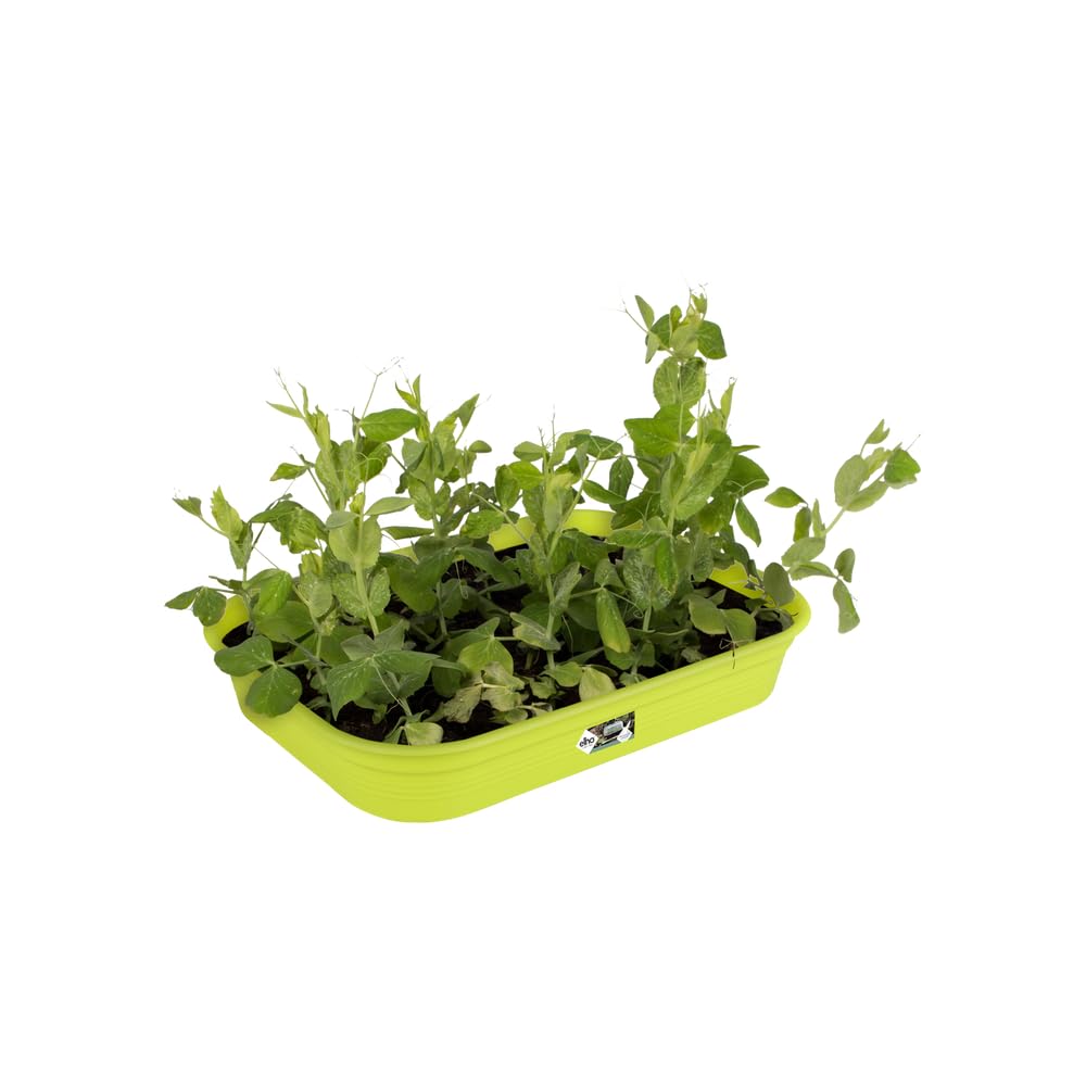elho-green-basics-anzuchtschale-m-pflanzschale-lime-gr-n-l-36-x-b-25-9-x-h-6-3-c image 3