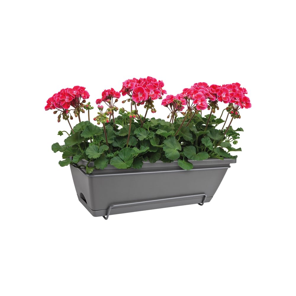 elho-barcelona-all-in-1-50-cm-balkonkasten-anthracite image 8