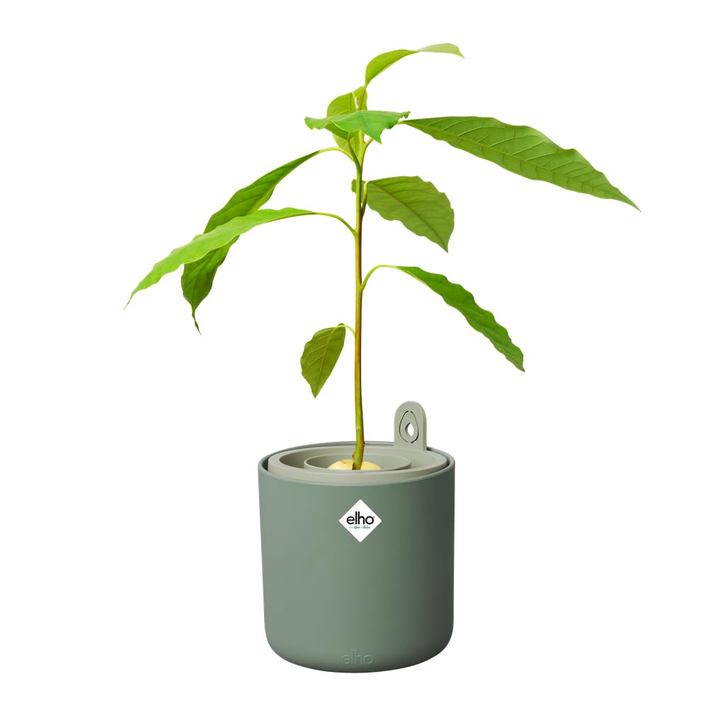 elho-amazing-avocado-pot-leaf-green-12-x-h-12-1-cm-aus-100-recyceltem-kunststoff image 4