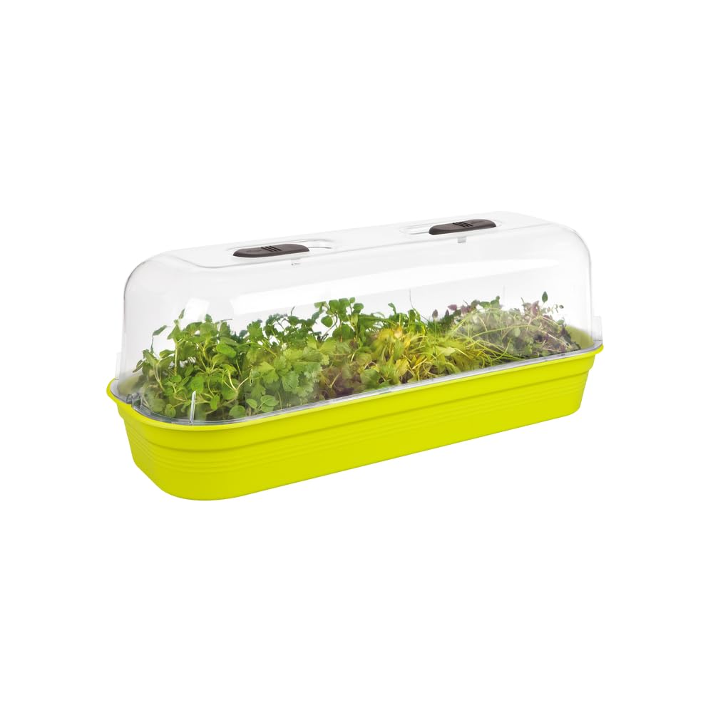 elho-green-basics-anzucht-schale-l-lime-gr-n-l-19-5-x-b-51-2-x-h-7-5-cm image 6
