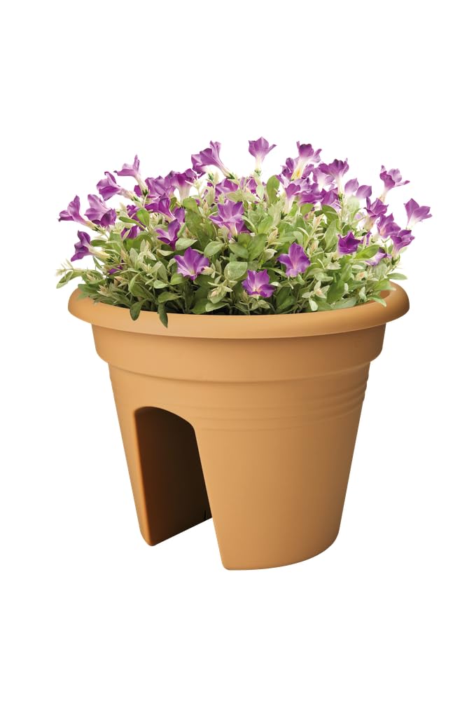 elho-green-basics-flower-bridge-30-balkonkasten-mild-tonrot-29-3-cm image 6