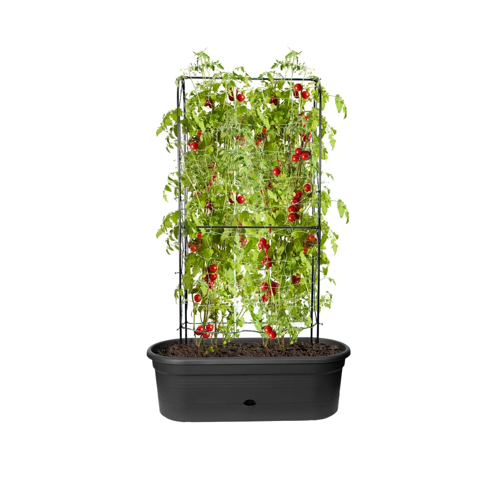 elho-green-basics-veggie-wall-80cm-living-schwarz-31-x-77-5-x-26-cm-mit-10-liter image 3