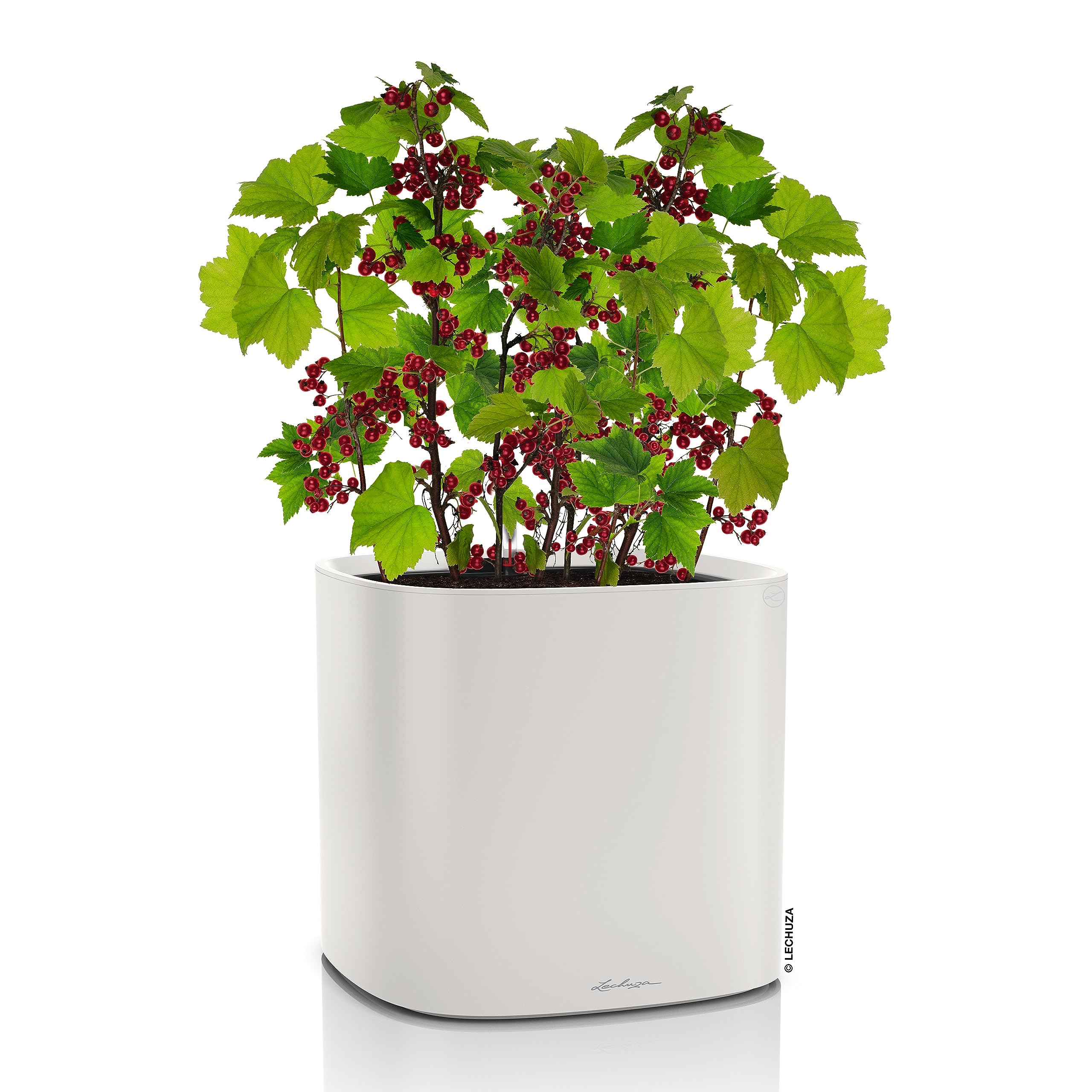 lechuza-pila-color-planter-pflanzgef-lichtgrau-35-x-35-x-33-cm image 2