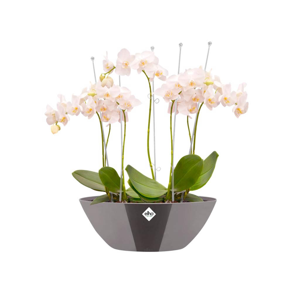 elho-brussels-diamond-oval-20-blumentopf-oyster-pearl-20-3-cm image 3
