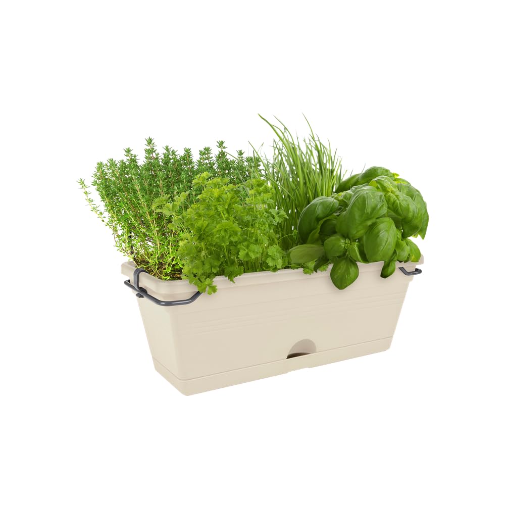 elho-green-basics-balkonkasten-mini-30-bertopf-baumwolle-29-6-cm image 7