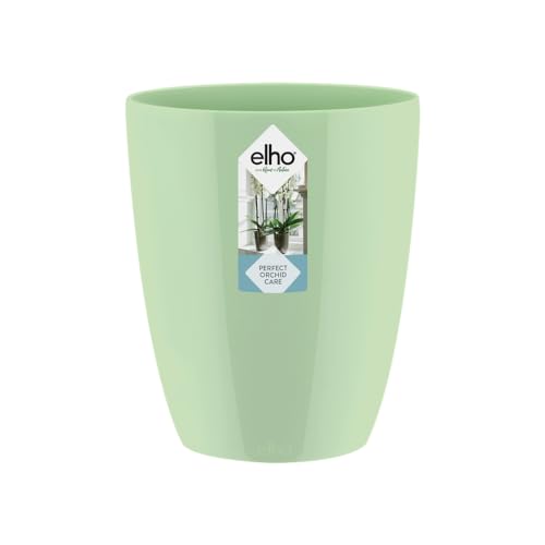 elho-brussels-diamond-orchidee-hoch-12-5-cm-gr-n image 8