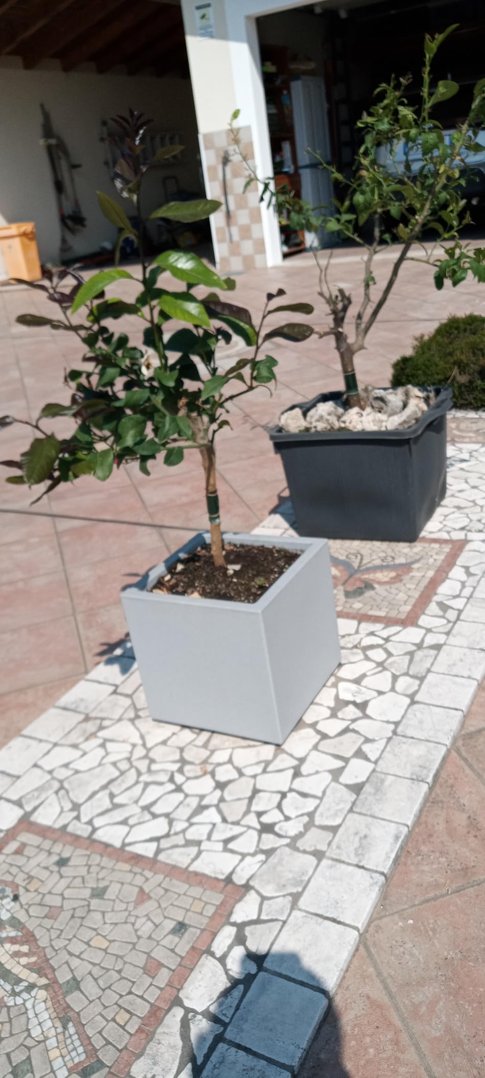 Schick auf der Terrasse