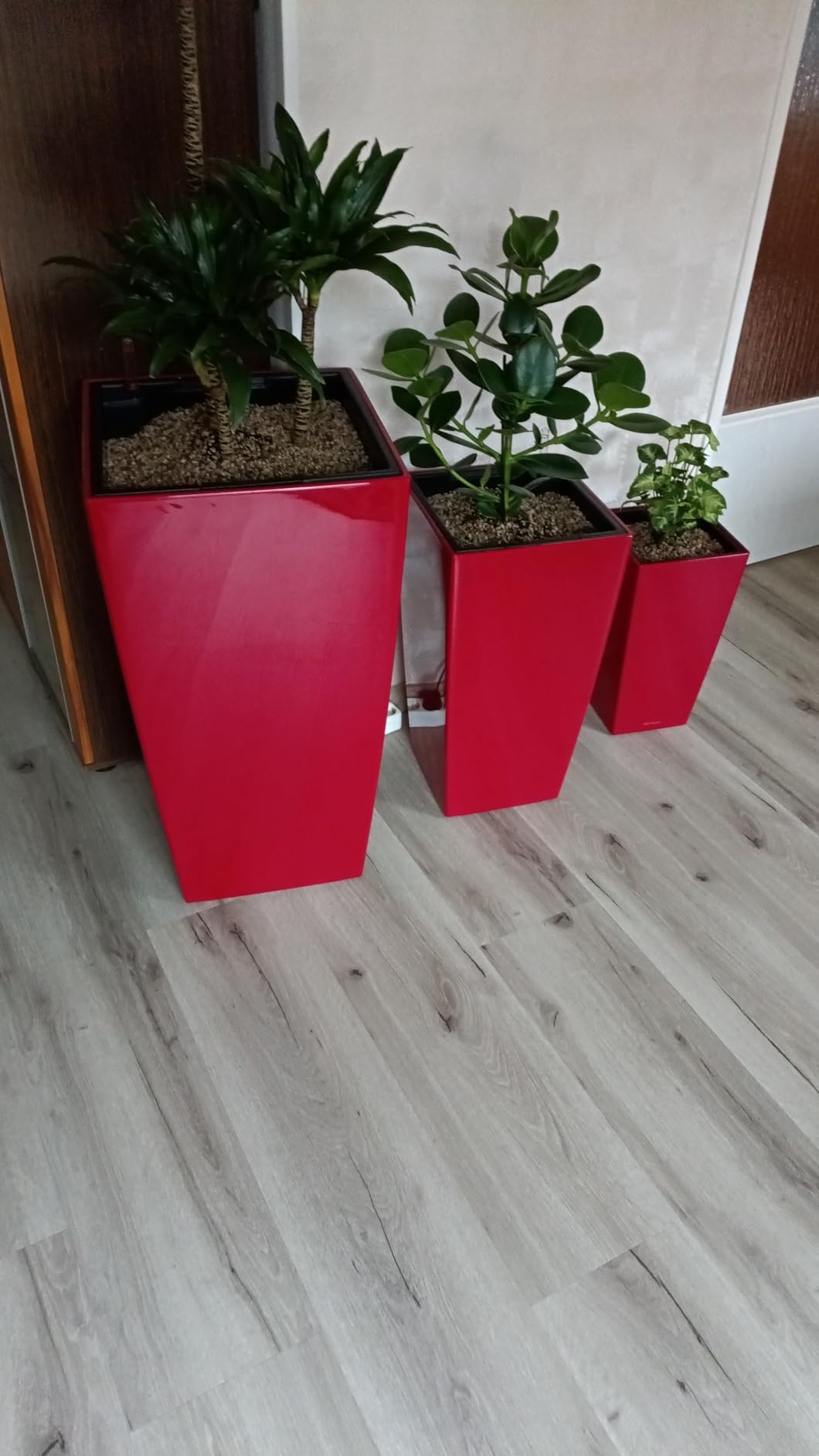 Solide Pflanzsäule
