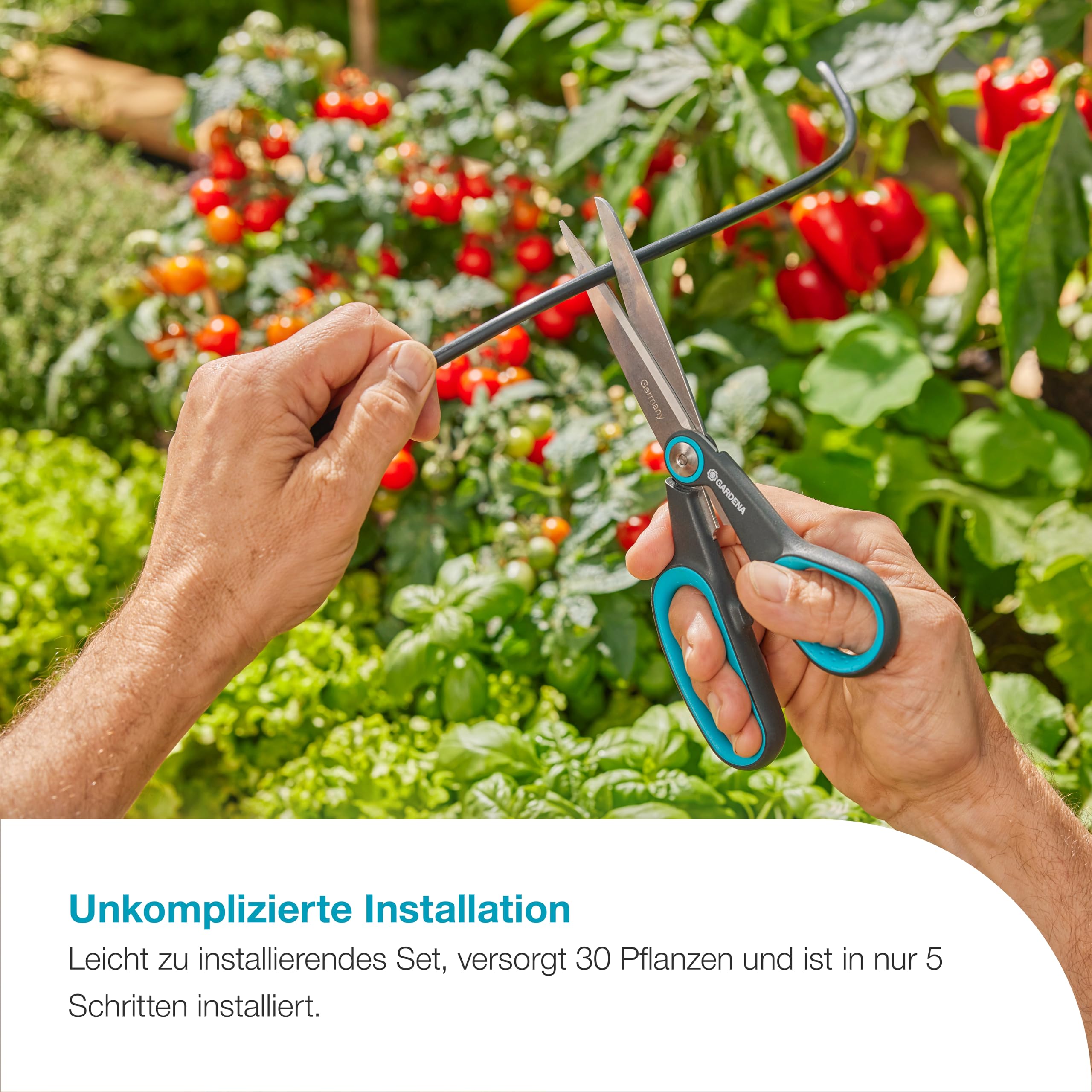 gardena-aquabloom-l-set-autarkes-solar-bew-sserungssystem-f-r-bis-zu-30-pflanzen image 4