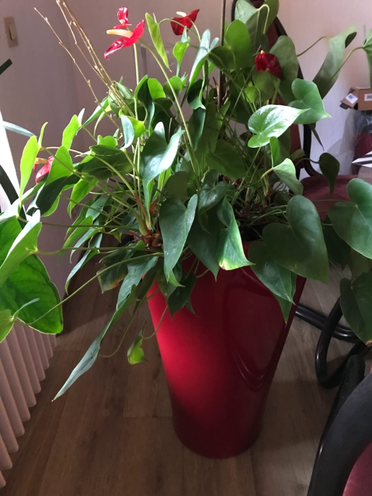 Mega fürs Büro