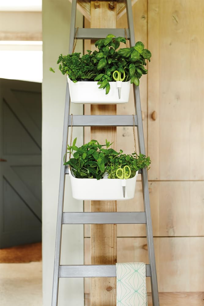 elho-brussels-herbs-station-30-kr-utertopf-wei image 8