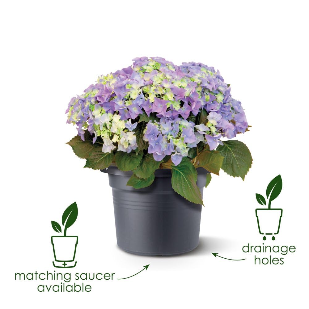 elho-green-basics-cilinder-55cm-blumentopf-living-schwarz-54-3-x-h-41-2-cm image 2