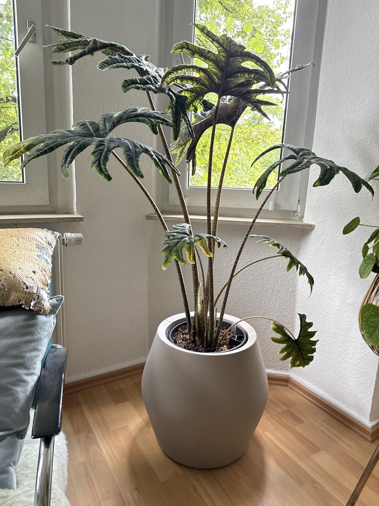 Nachhaltigkeit trifft Design