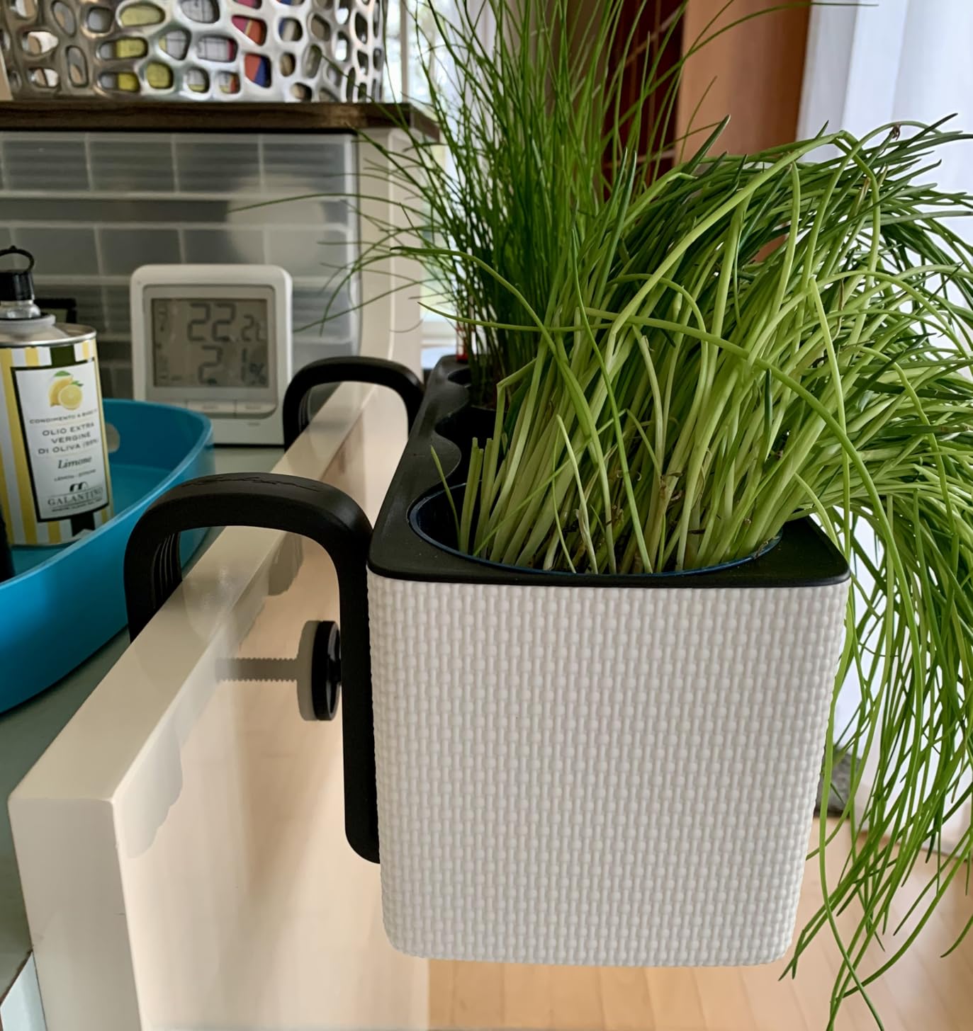 Kräuter bleiben frisch