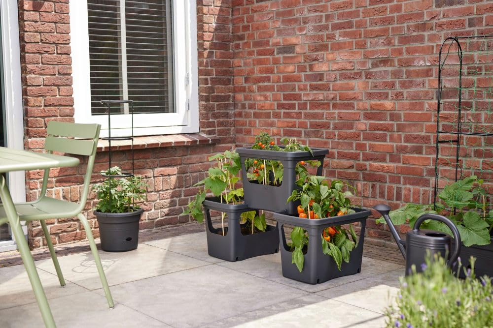 elho-green-basics-stack-grow-50-pflanzgef-schwarz-50-9-x-h-35-7-cm image 8