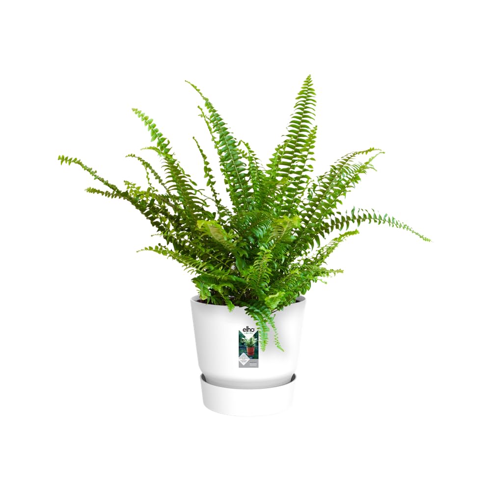elho-greenville-easy-hanger-19-5-balkon-blumentopf-19-4-x-h-23-7-cm-wei image 8