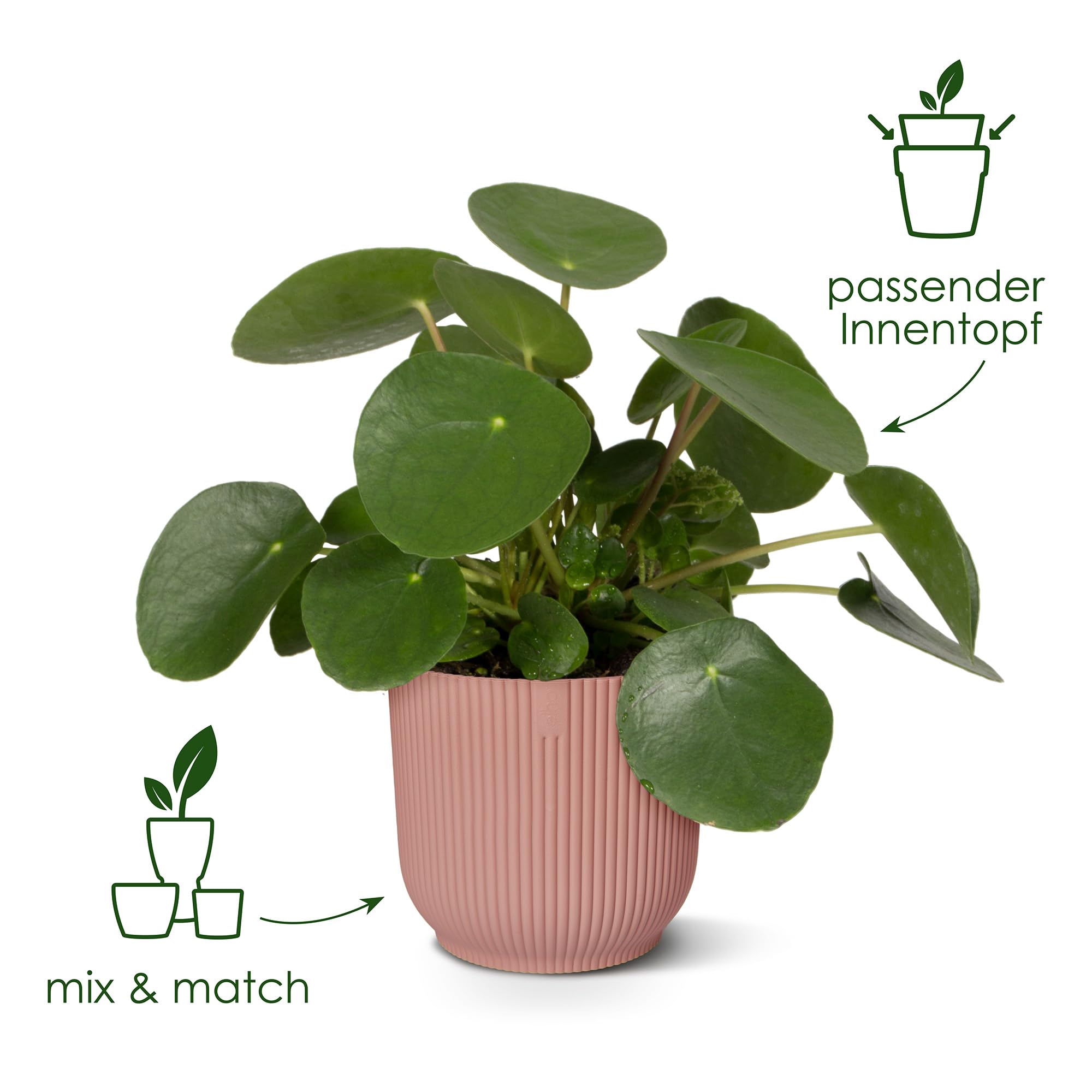 elho-vibes-fold-rund-22-blumentopf-mit-bew-sserungssystem-zartrosa image 4
