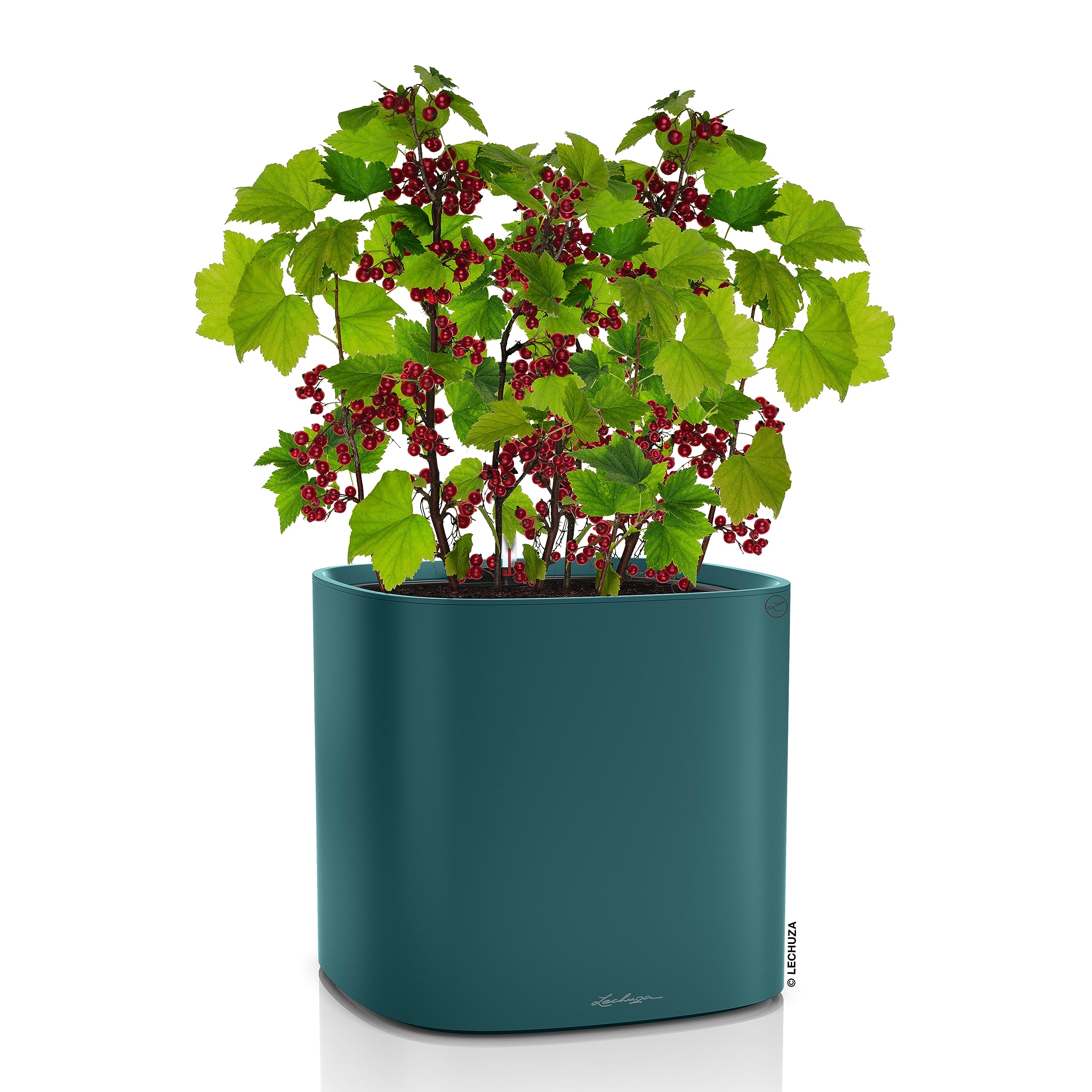 lechuza-pila-color-planter-35x35x33-cm-pflanzgef-mit-bew-sserungssystem-petrolbl image 2