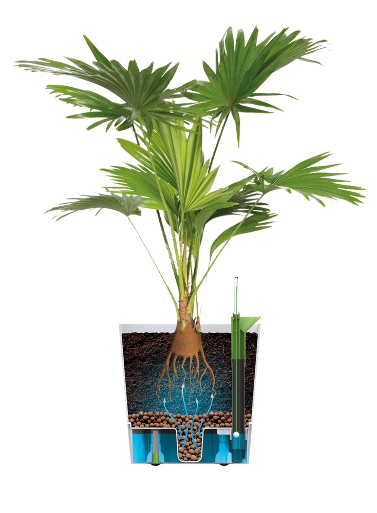 elho-greensense-aqua-care-quadrat-30-cm-blumentopf-holzkohlengrau image 5